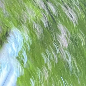 Meet your Posher, Joe